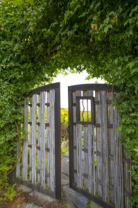 bamboo gate